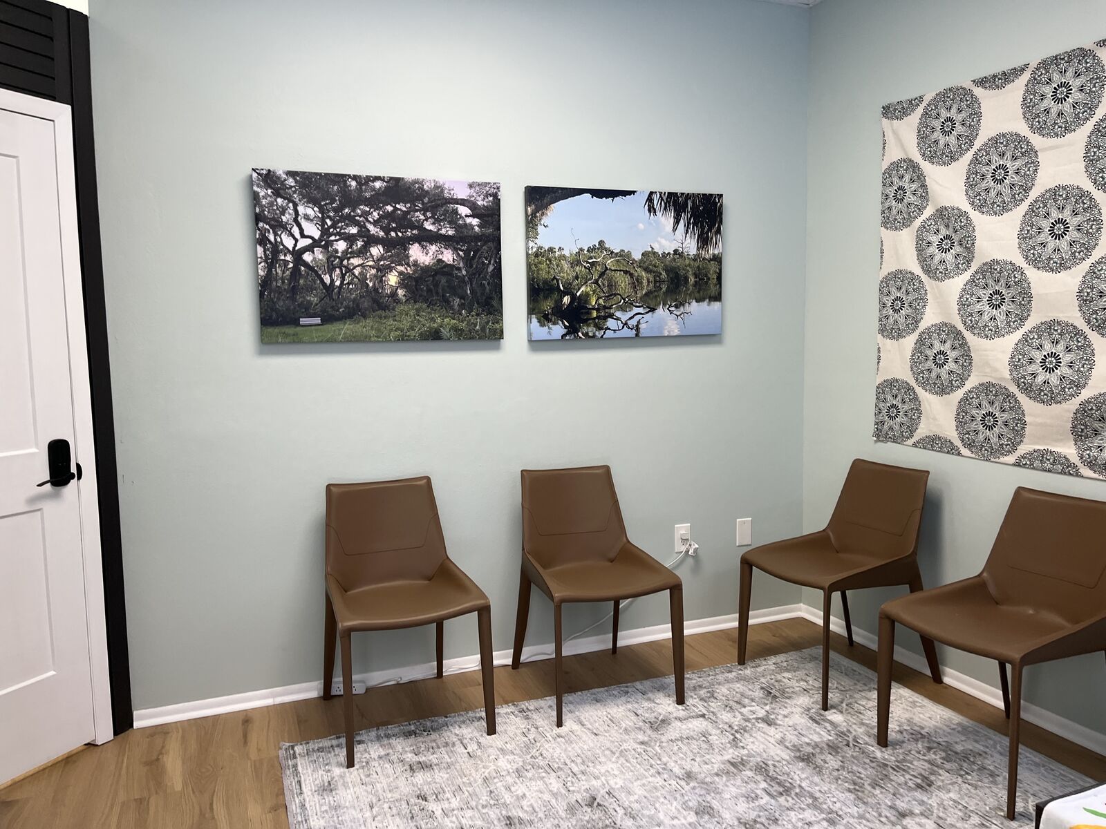 Ripple Effect Therapy waiting room with soft blue walls, leather chairs, and nature photographs